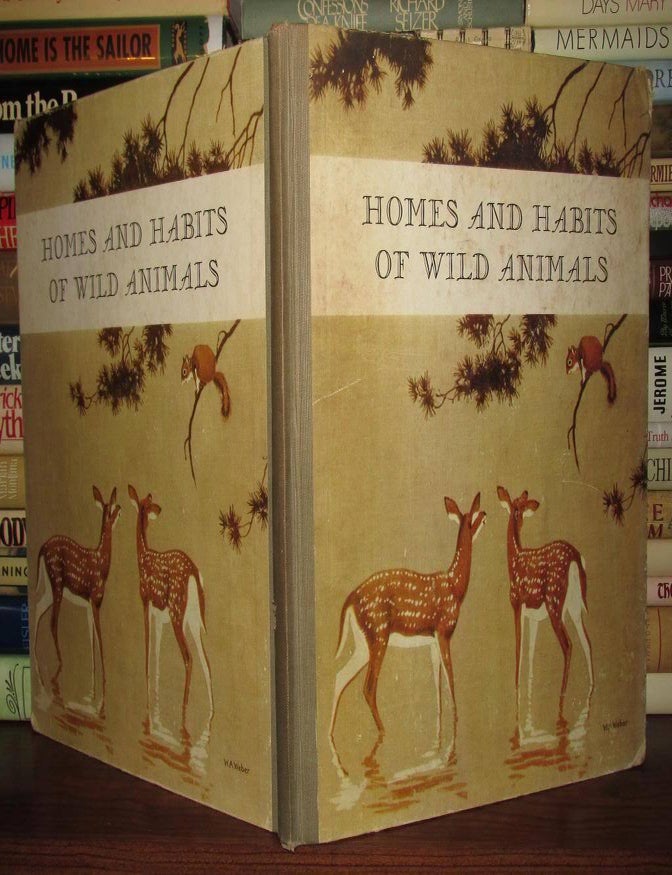 HOMES AND HABITS OF WILD ANIMALS : North American Mammals | Karl ...