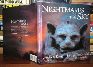 Item #76956 NIGHTMARES IN THE SKY Gargoyles and Grotesques. Stephen King, F-stop Fitzgerald