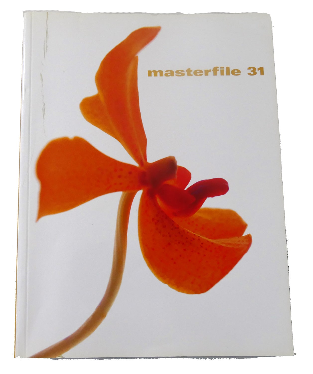 MASTERFILE 31 | Presented Zefa Visual Media Group