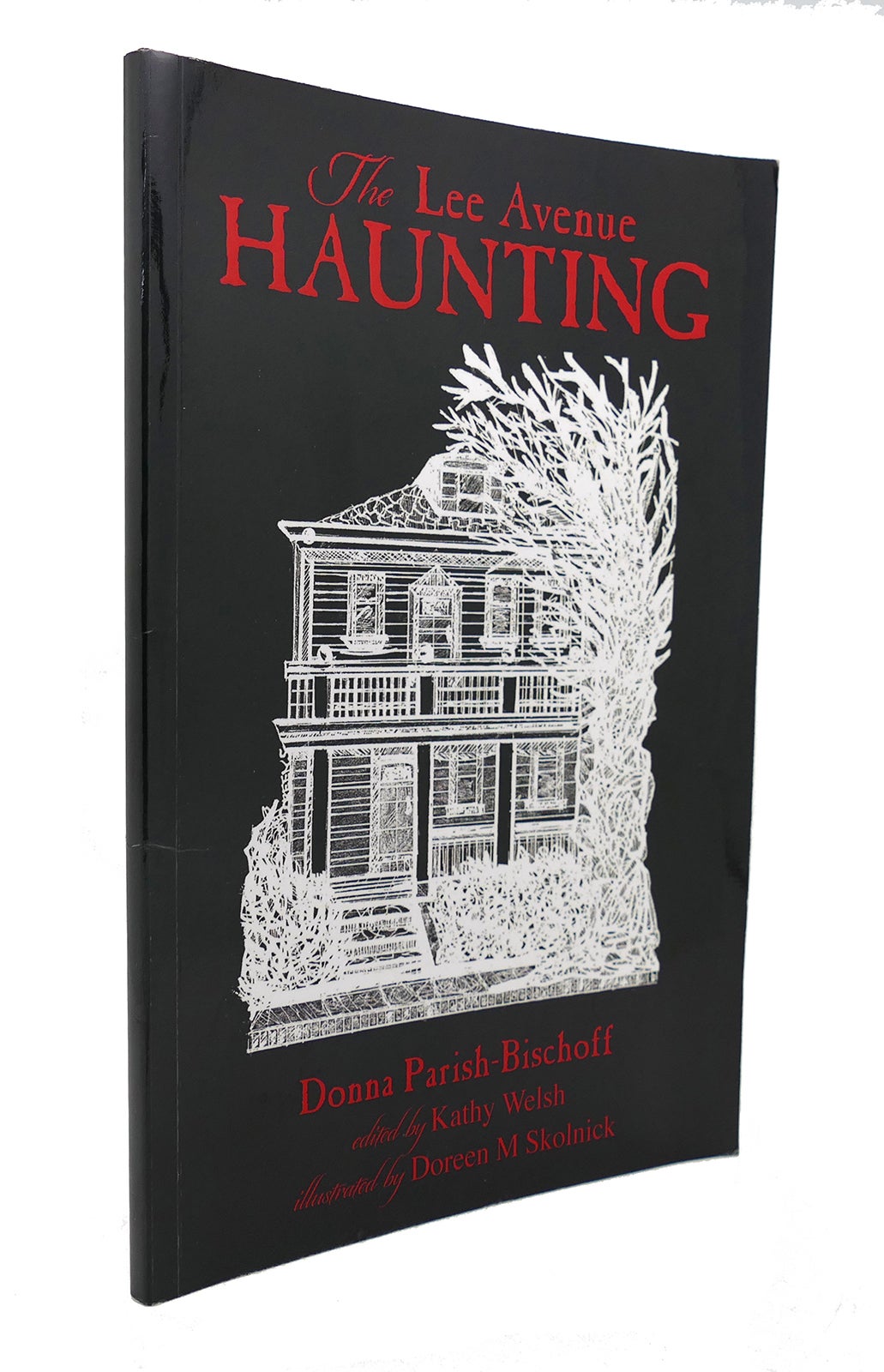 THE LEE AVENUE HAUNTING | Donna Parish-Bischoff, Kathy Welsh | First ...