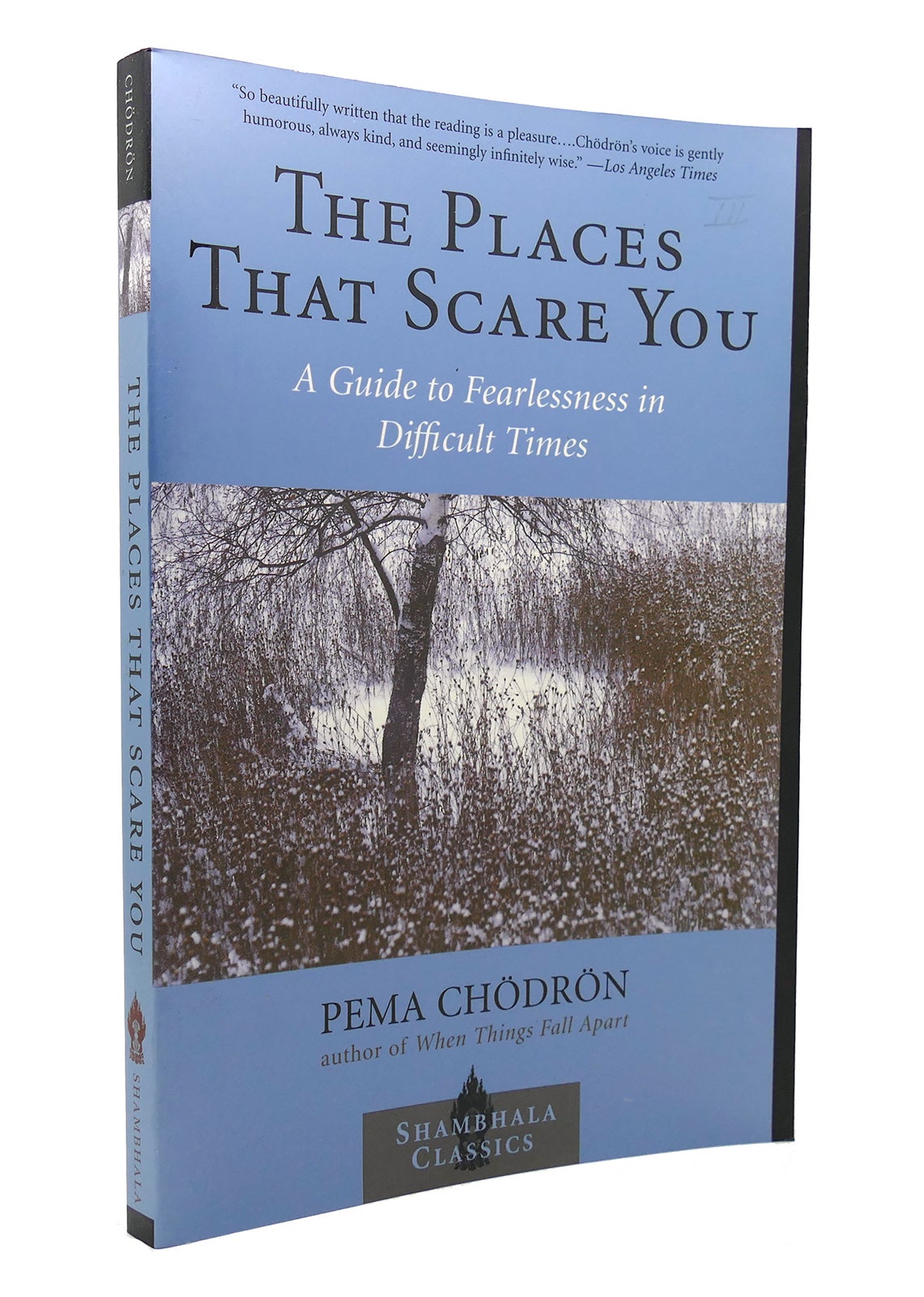 THE PLACES THAT SCARE YOU A Guide to Fearlessness in Difficult Times  Shambhala Classics by Pema Chodron on Rare Book Cellar