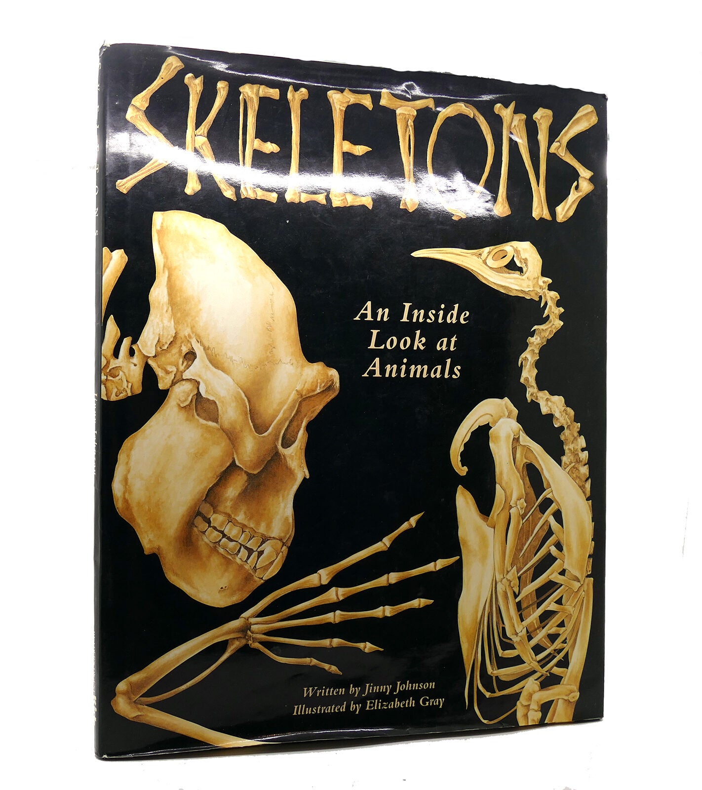SKELETONS; An Inside Look At Animals | Jinny Johnson | First