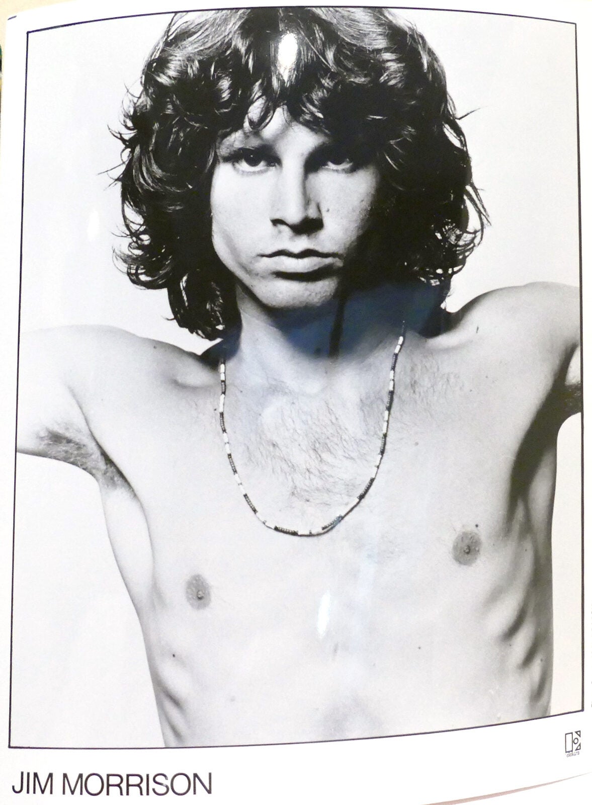 JIM MORRISON PHOTO 4 OF 7; 8'' x 10'' inch Photograph | Jim Morrison