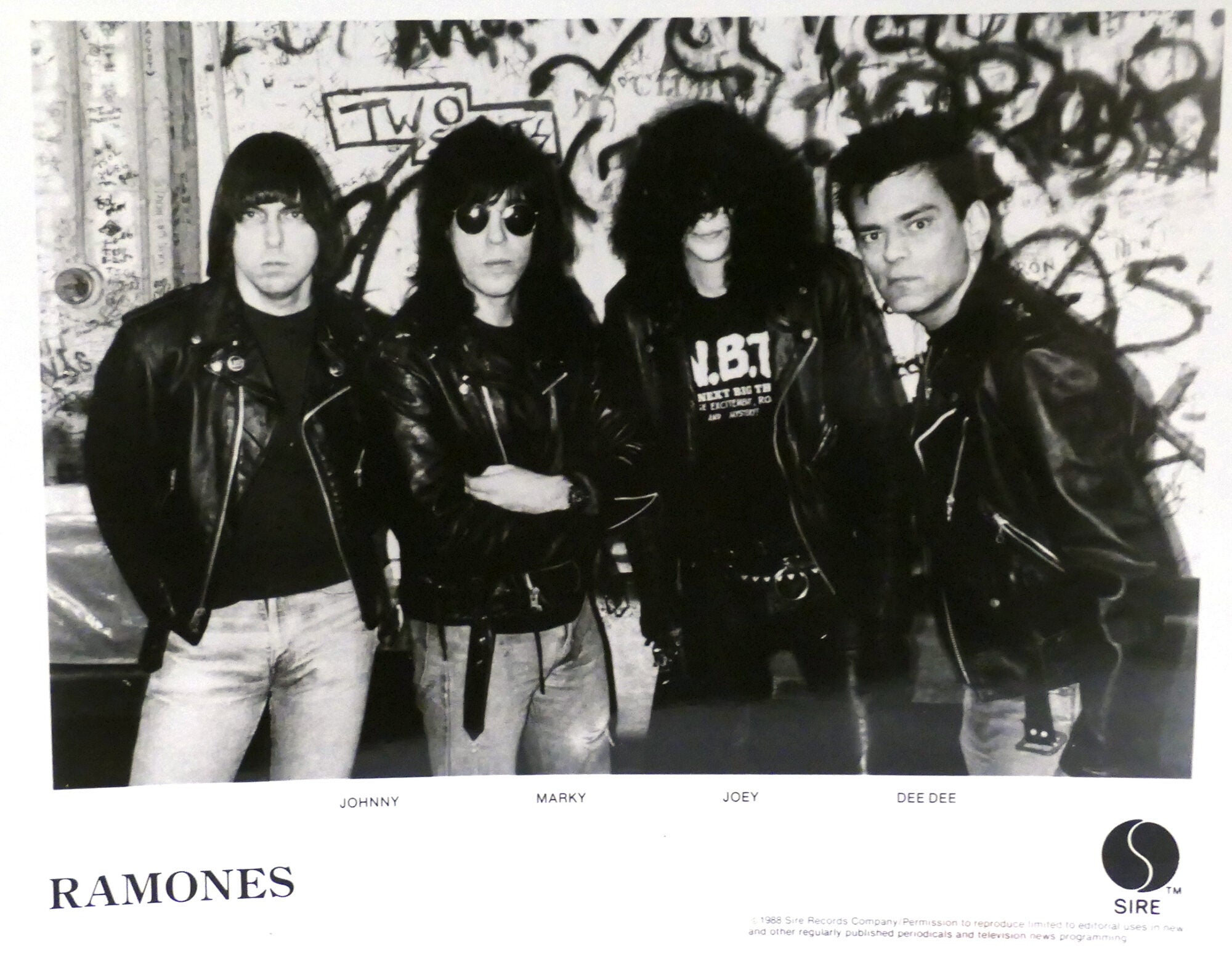 THE RAMONS BAND PHOTO 8'' x 10'' inch Photograph | The Ramones