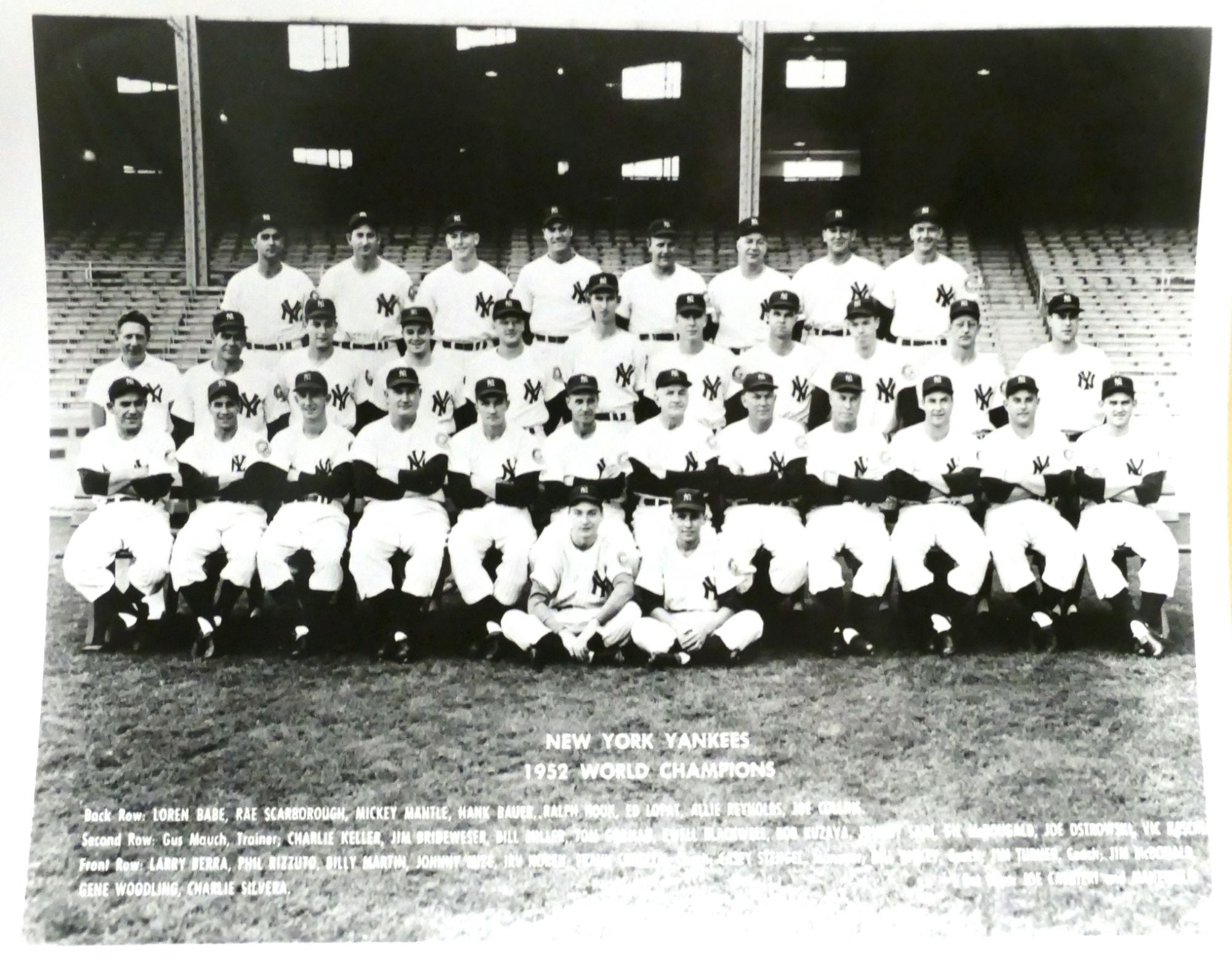 Detroit Lions - 1952 NFL Champions, 8x10 B&W Team Photo