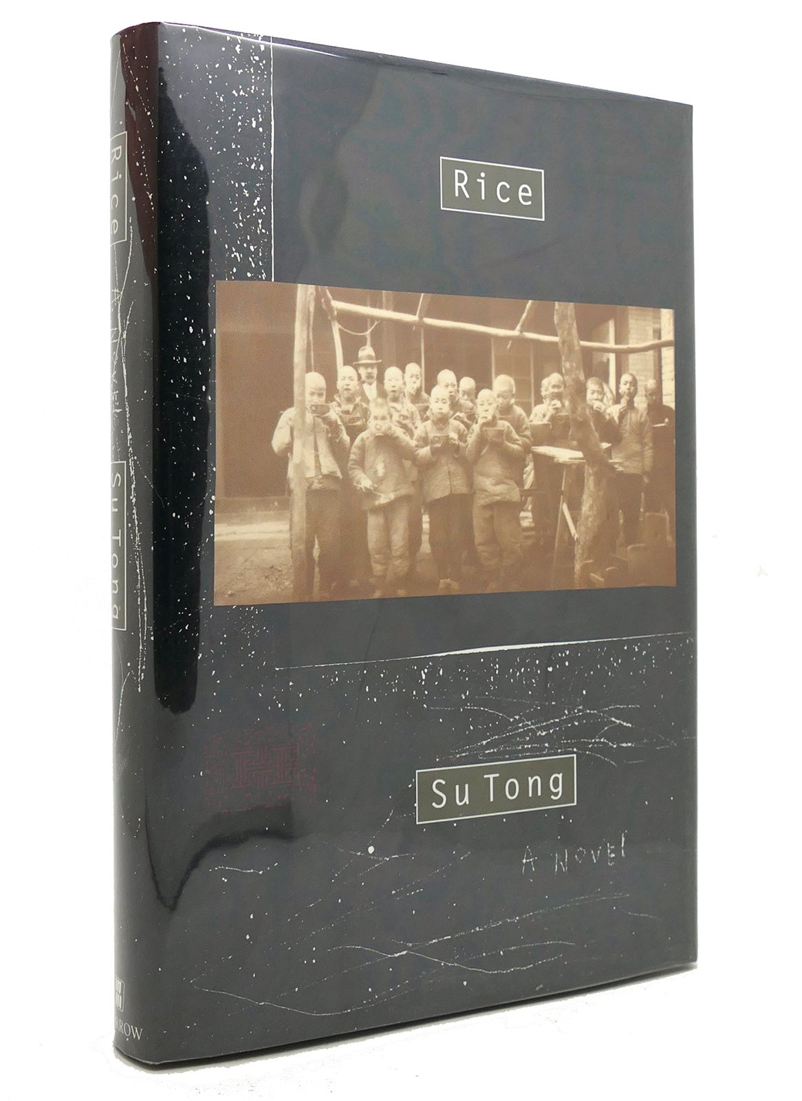 RICE A Novel | Tong Su | First Edition; First Printing