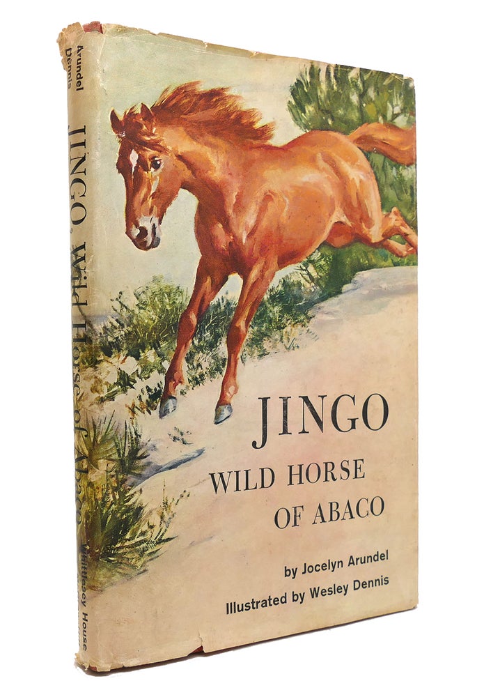 Item #144297 JINGO WILD HORSE OF ABACO. Jocelyn Arundel.