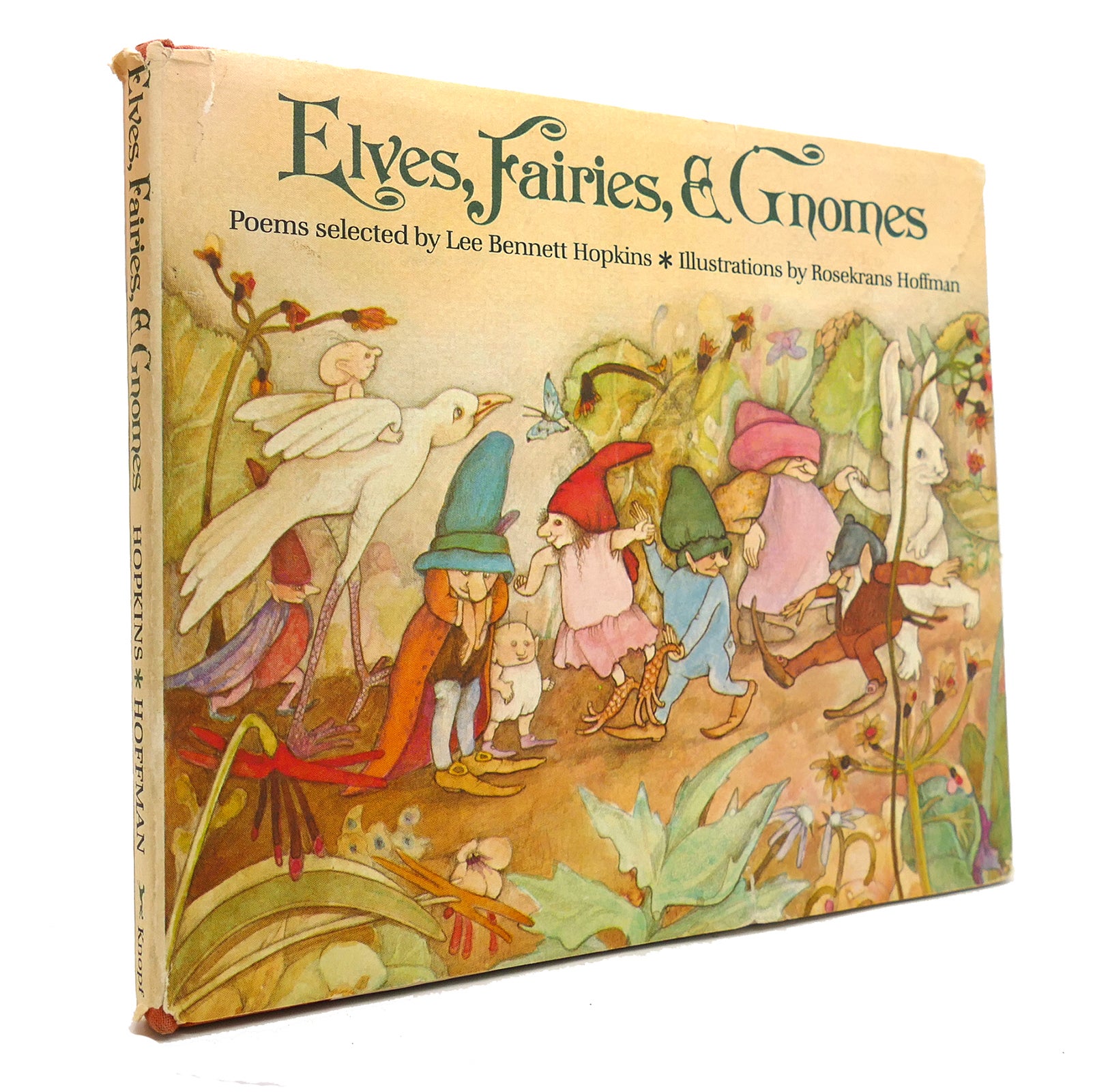 Fairies & Gnomes