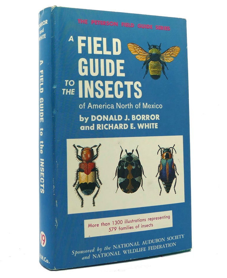 Item #152214 A FIELD GUIDE TO THE INSECTS OF AMERICAN NORTH OF MEXICO. Richard E. White Donald J. Borror.