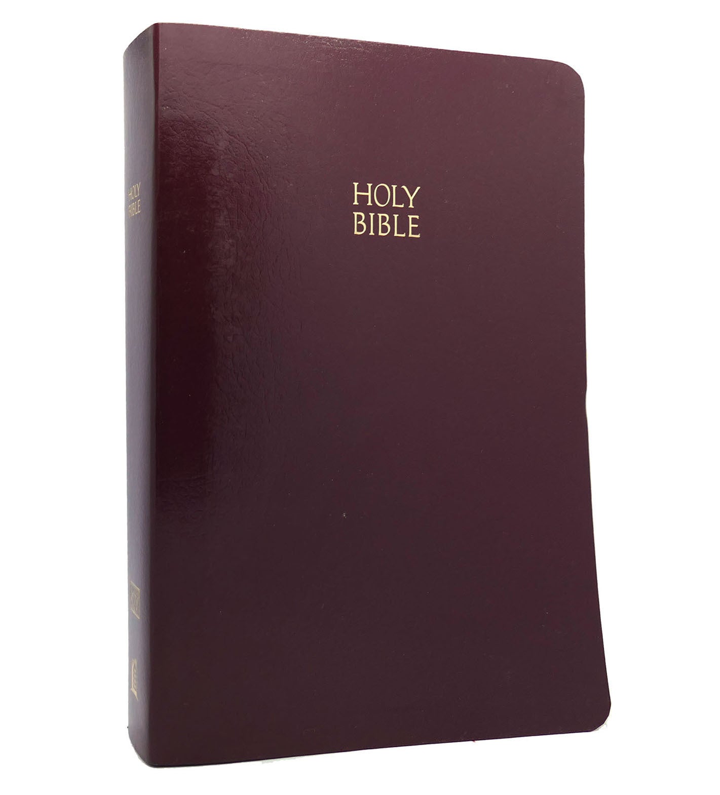 THE HOLY BIBLE OLD AND NEW TESTAMENTS | King James Holy Bible | Forty ...