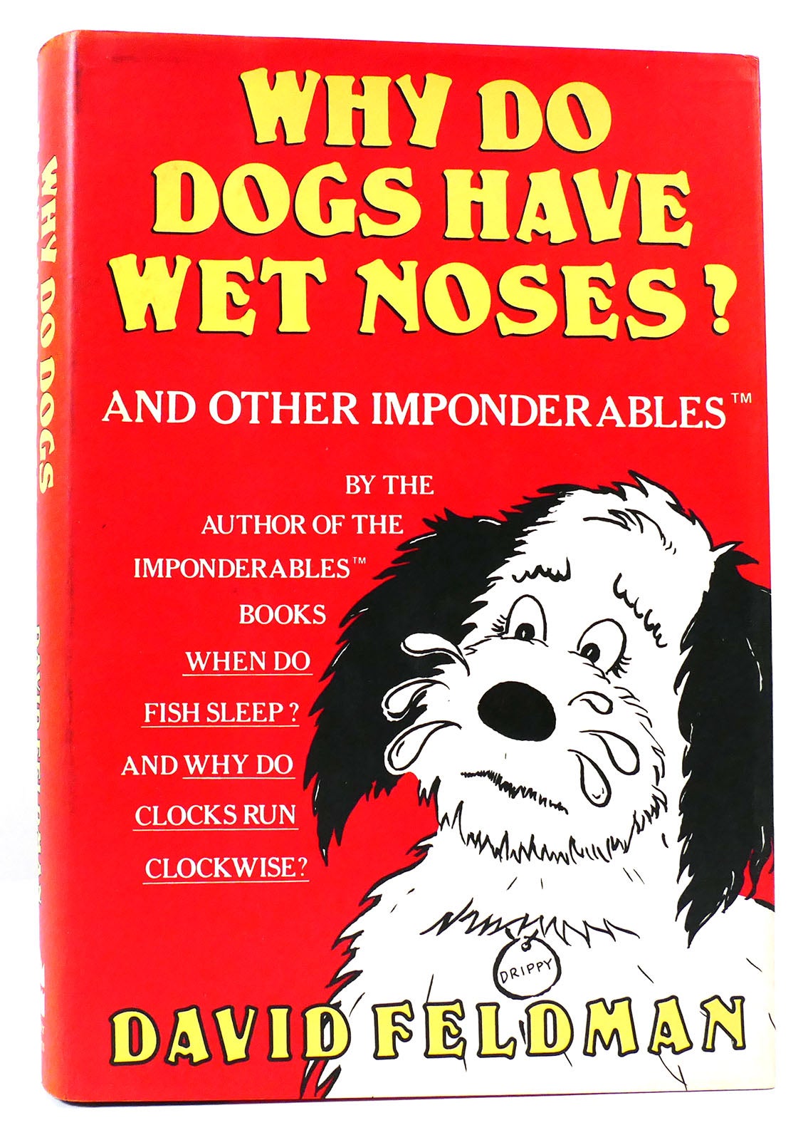 why do dogs have wet noses