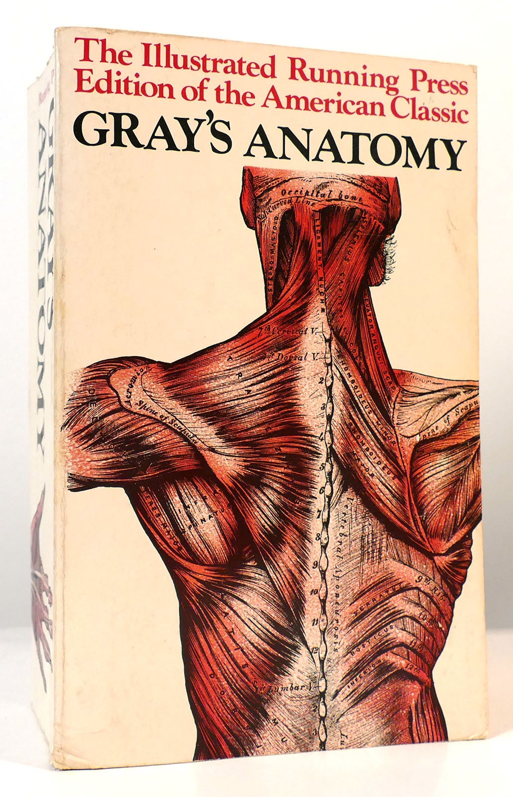 GRAY'S ANATOMY | Henry Gray | Unabridged