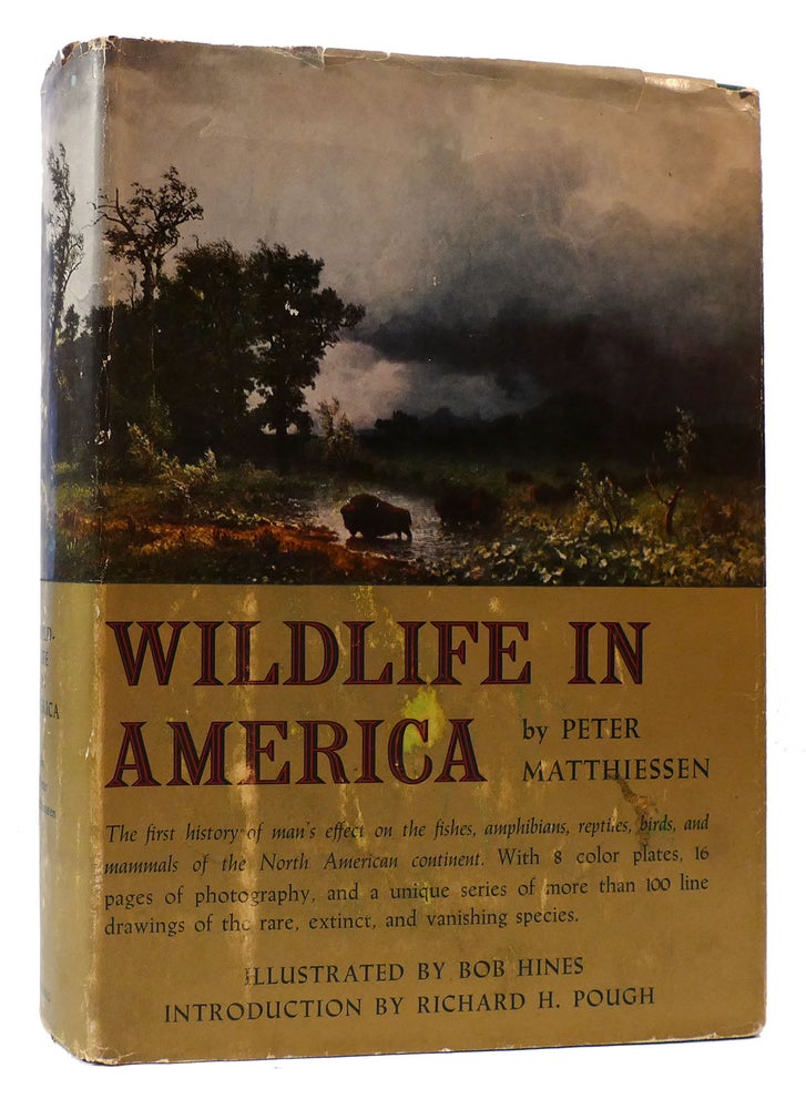 Item #175306 WILDLIFE IN AMERICA. Peter Matthiessen.