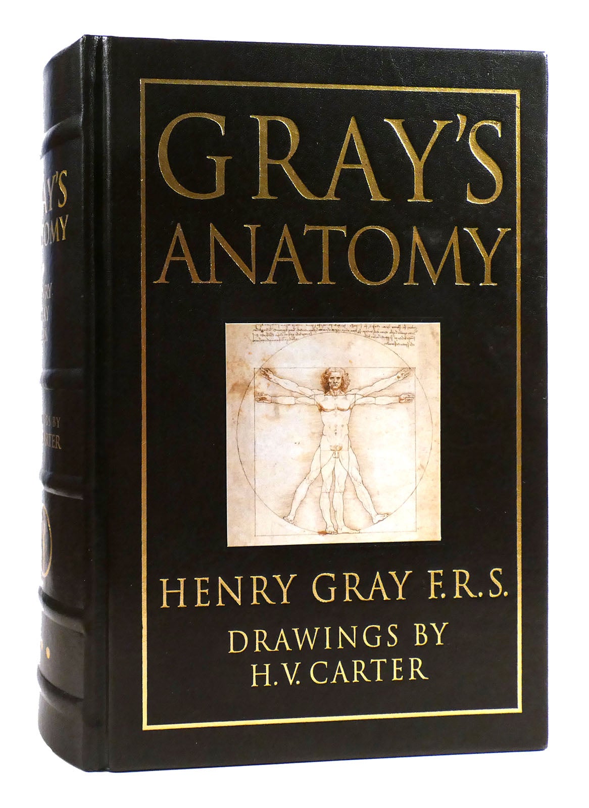 GRAY'S ANATOMY | Henry Gray | Fifteenth Edition; Eighth Printing