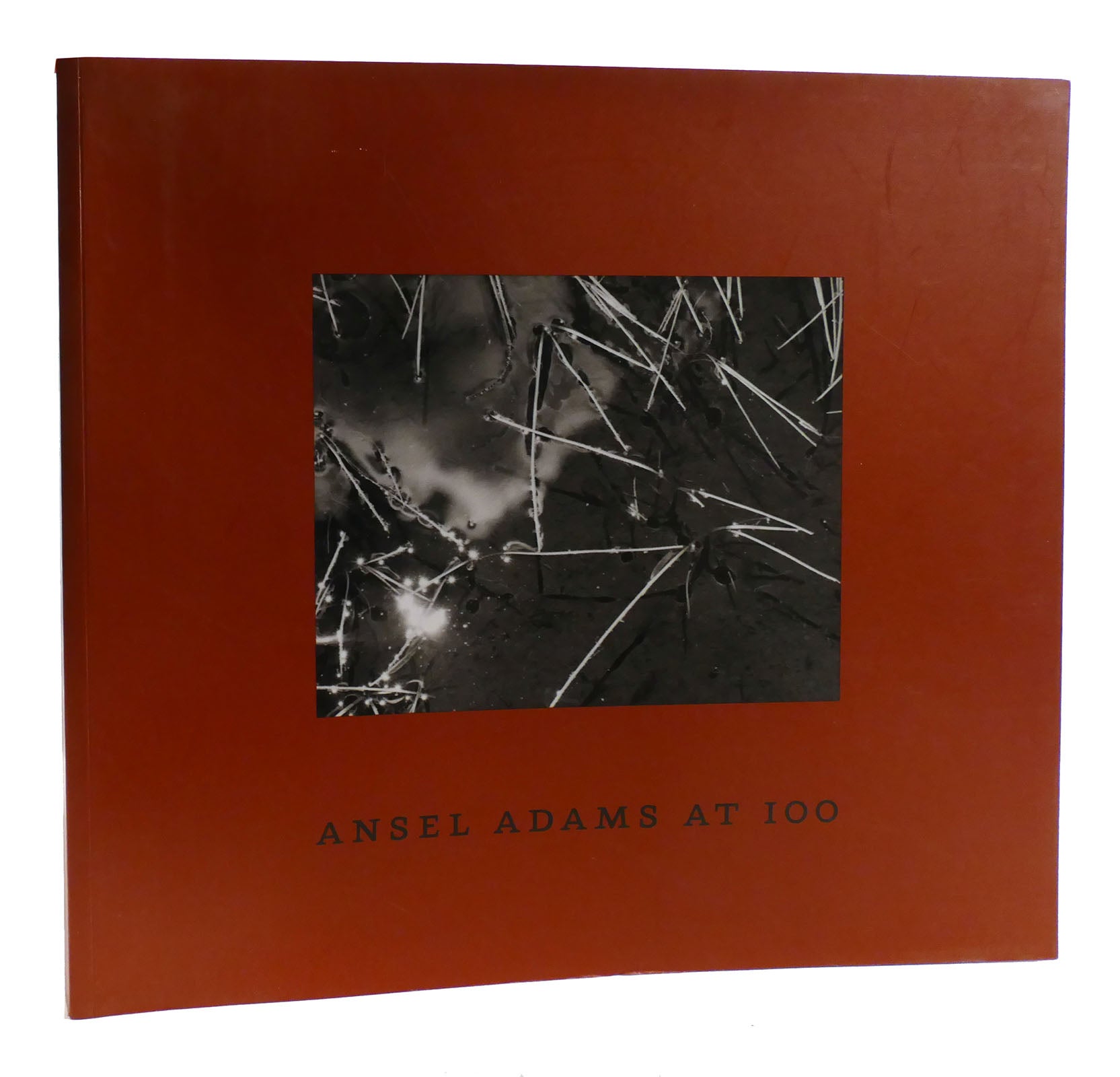 Ansel Adams at 100-