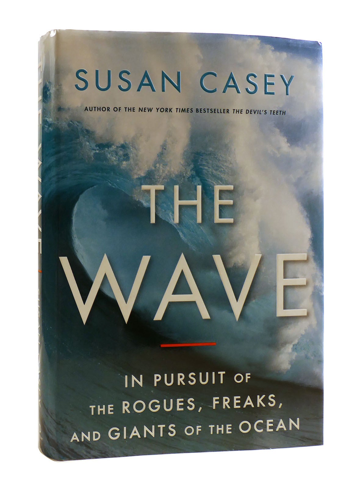THE WAVE : ; In Pursuit of the Rogues, Freaks, and Giants of the