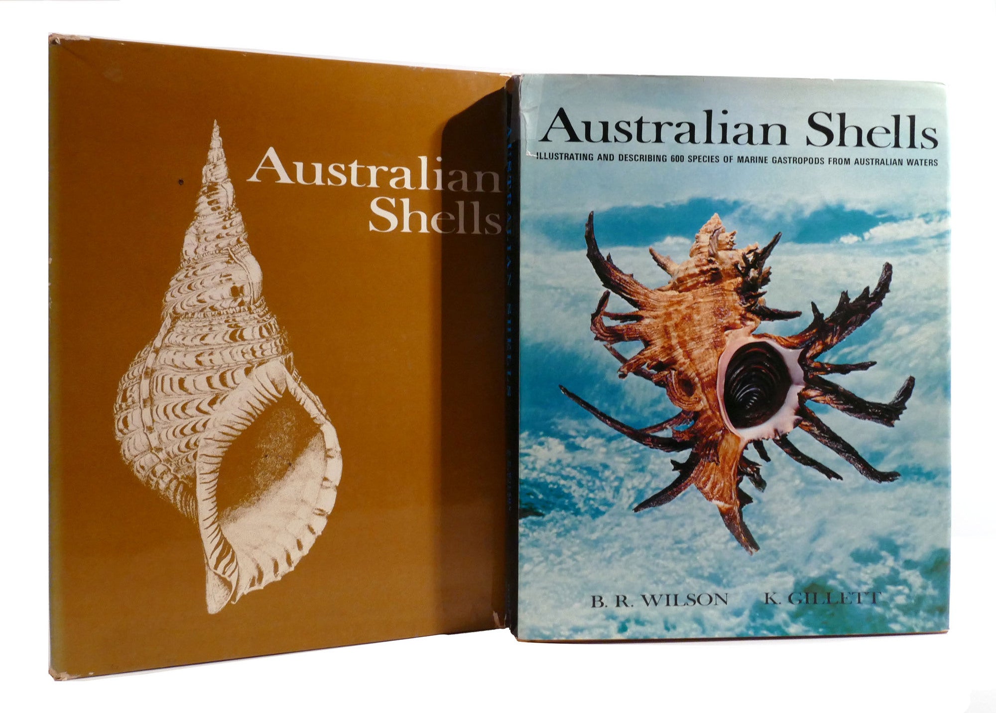 Describing Shells AUSTRALIAN SHELLS Illustrating and Describing 600 Species of Marine ...