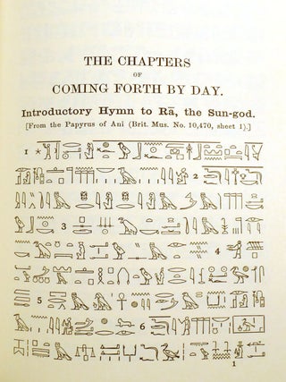 THE BOOK OF THE DEAD 3 VOLUME SET; The Chapters of Coming Forth by Day or Theban Recension of the Book of the Dead [3 Volumes]; the Egyptian Hieroglyphic Text Edited from Numerous Papyri Special Collection