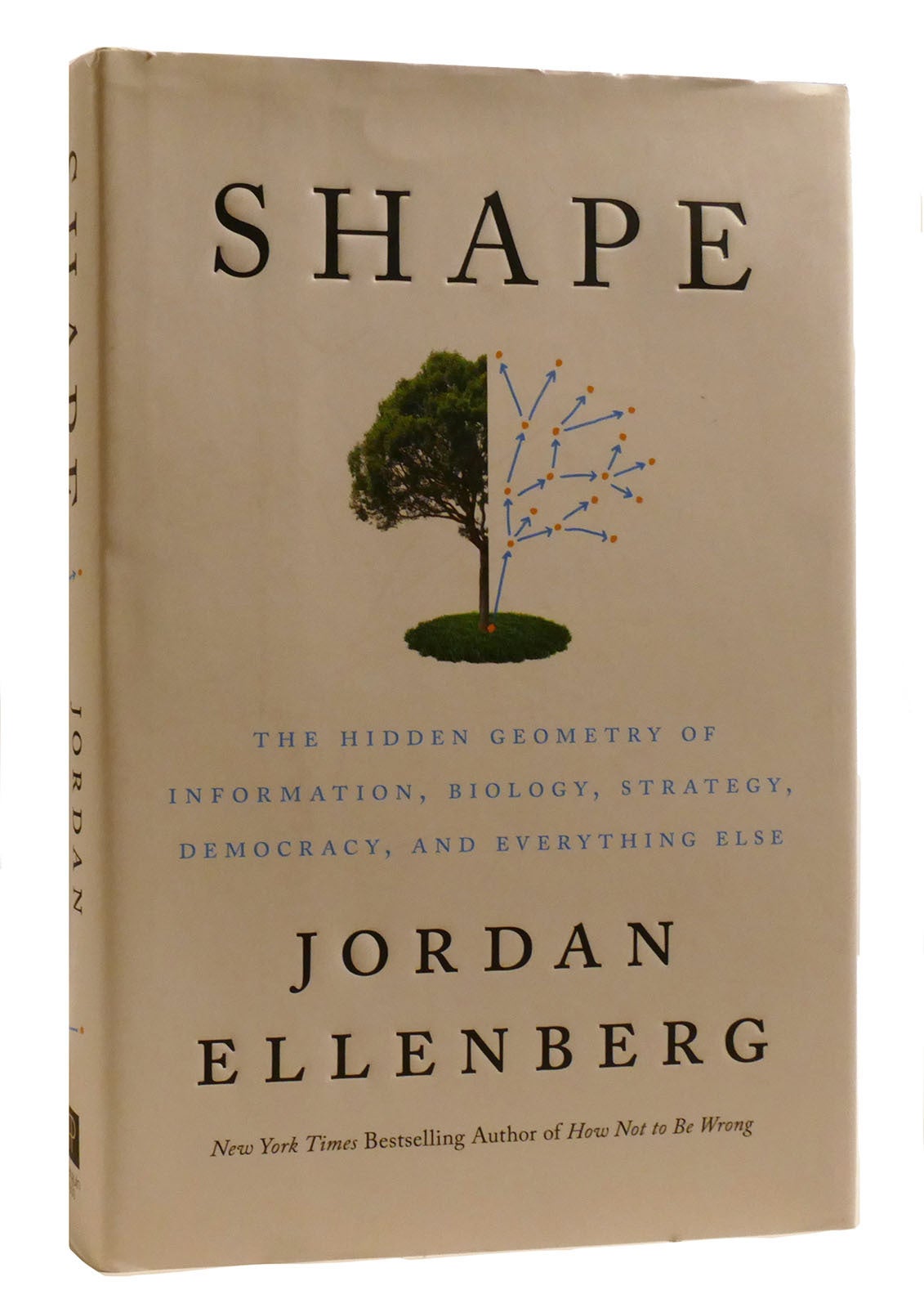 SHAPE The Hidden Geometry of Information, Biology, Strategy, Democracy ...