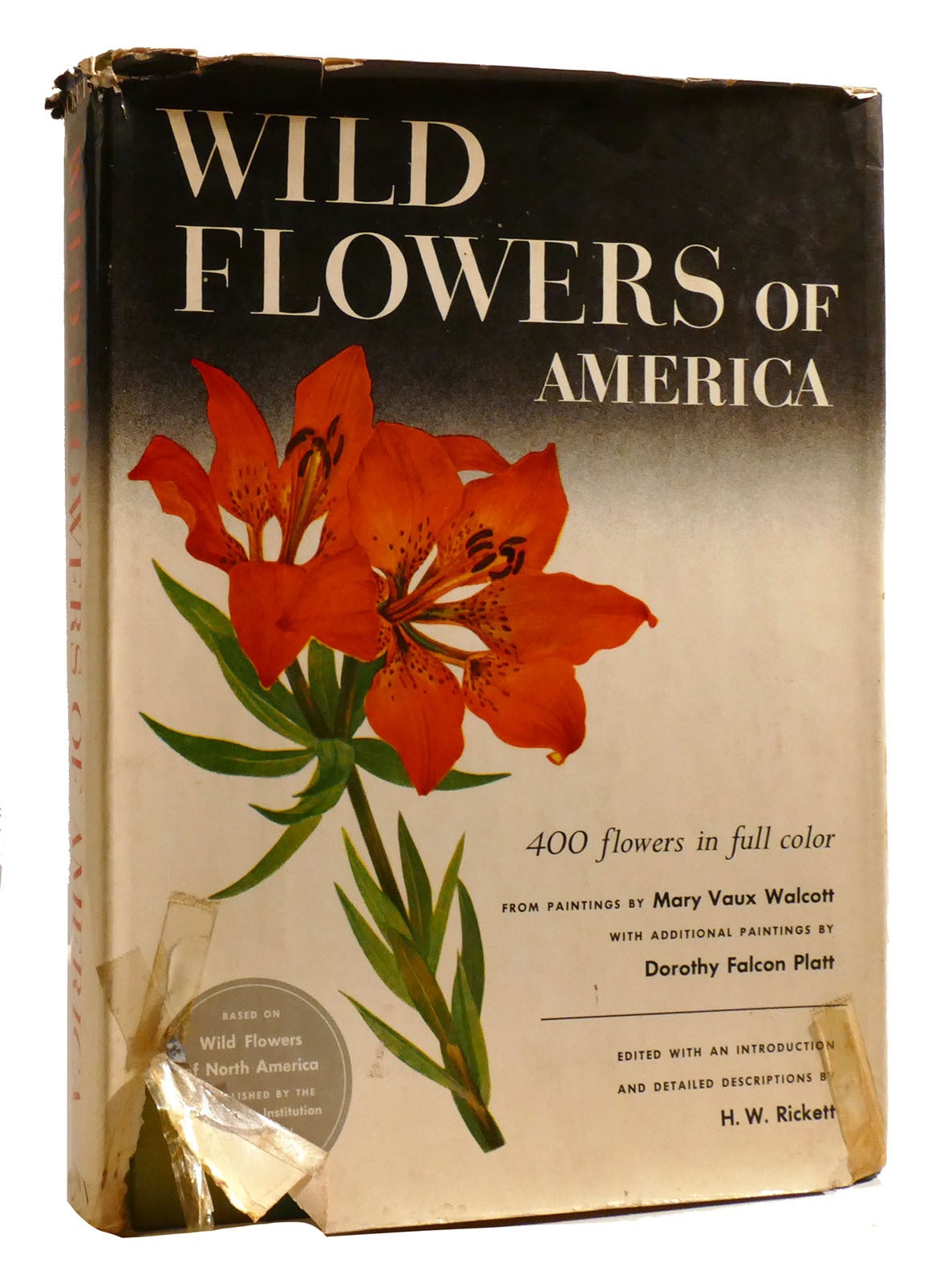 WILD FLOWERS OF AMERICA | H. W. Rickett | First Edition; Eighth