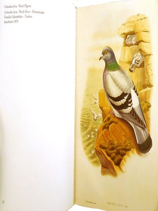 THE BIRDS OF GREAT BRITAIN; 5 Volume Set