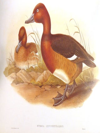 THE BIRDS OF GREAT BRITAIN; 5 Volume Set