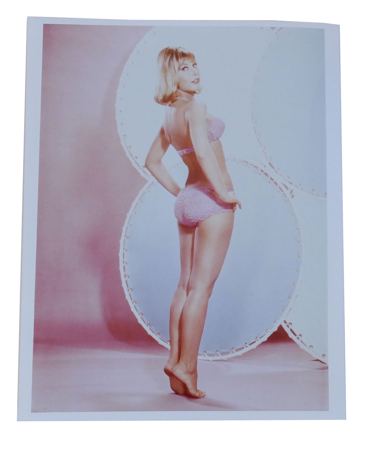 BARBARA EDEN PHOTO; 8'' X 10'' Inch Photograph | Barbara Eden