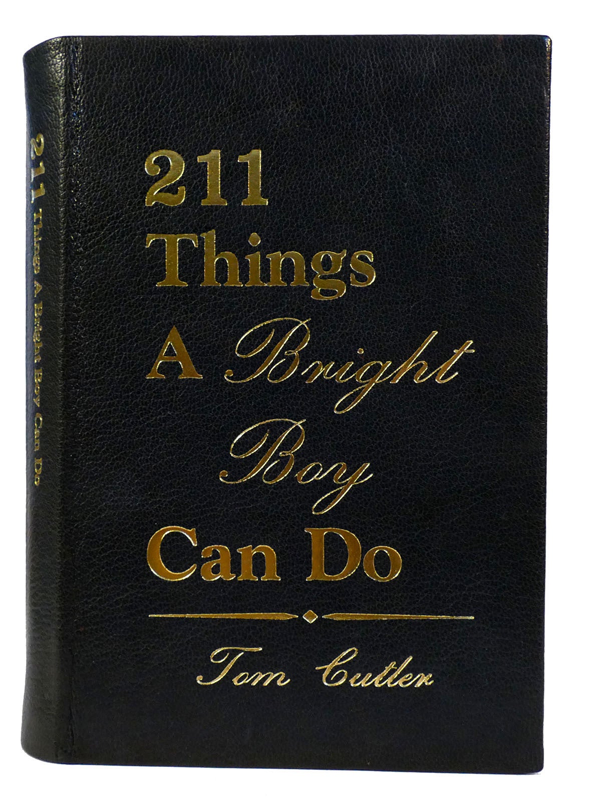 211 THINGS A BRIGHT BOY CAN DO | Tom Cutler | First American Edition ...