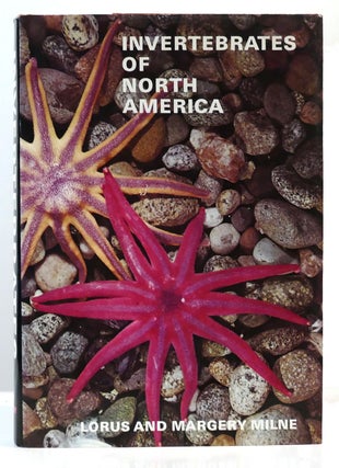 Item #303548 INVERTEBRATES OF NORTH AMERICA. Lorus, Margery Milne