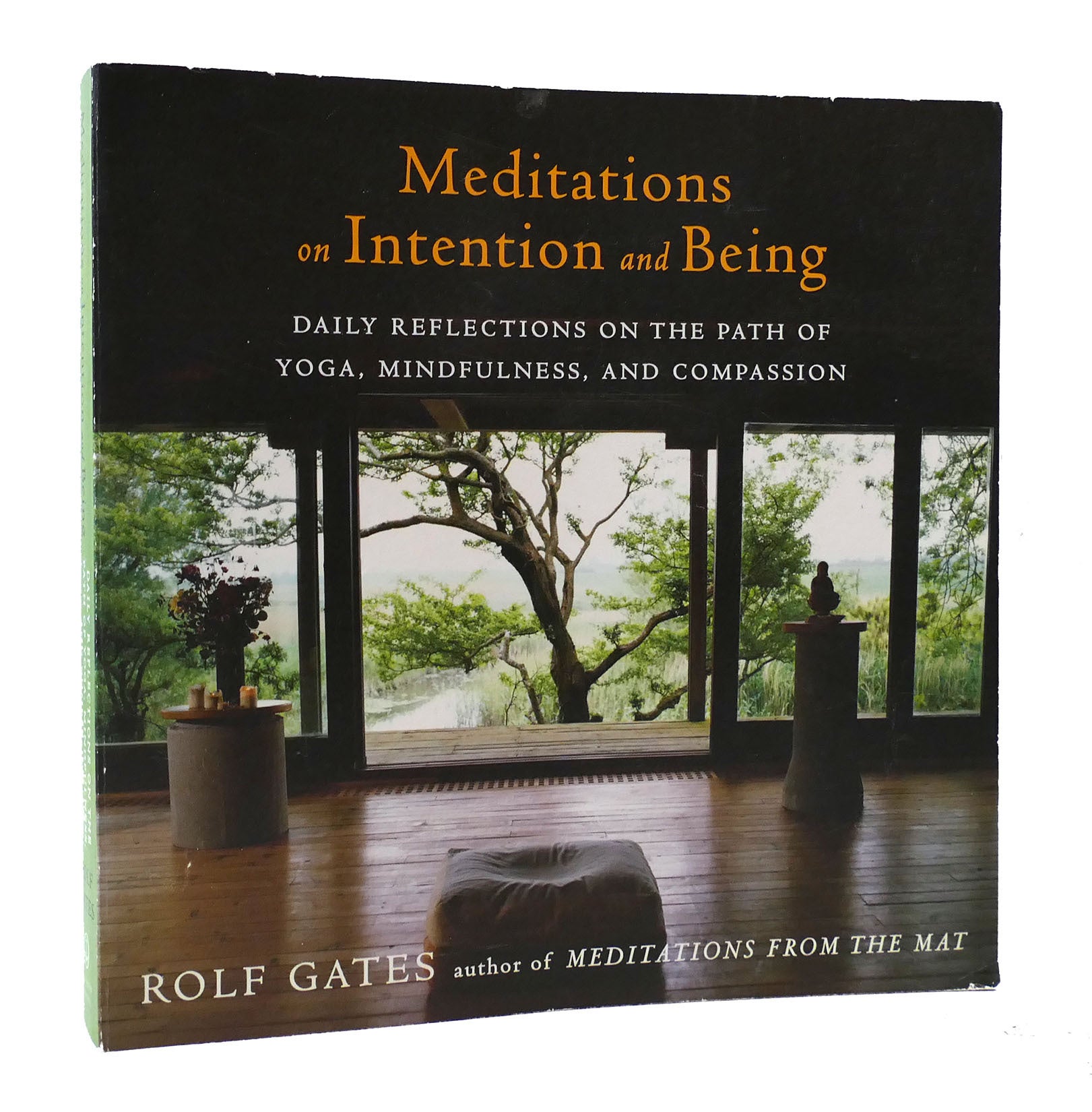 MEDITATIONS ON INTENTION AND BEING: DAILY REFLECTIONS ON THE PATH OF ...