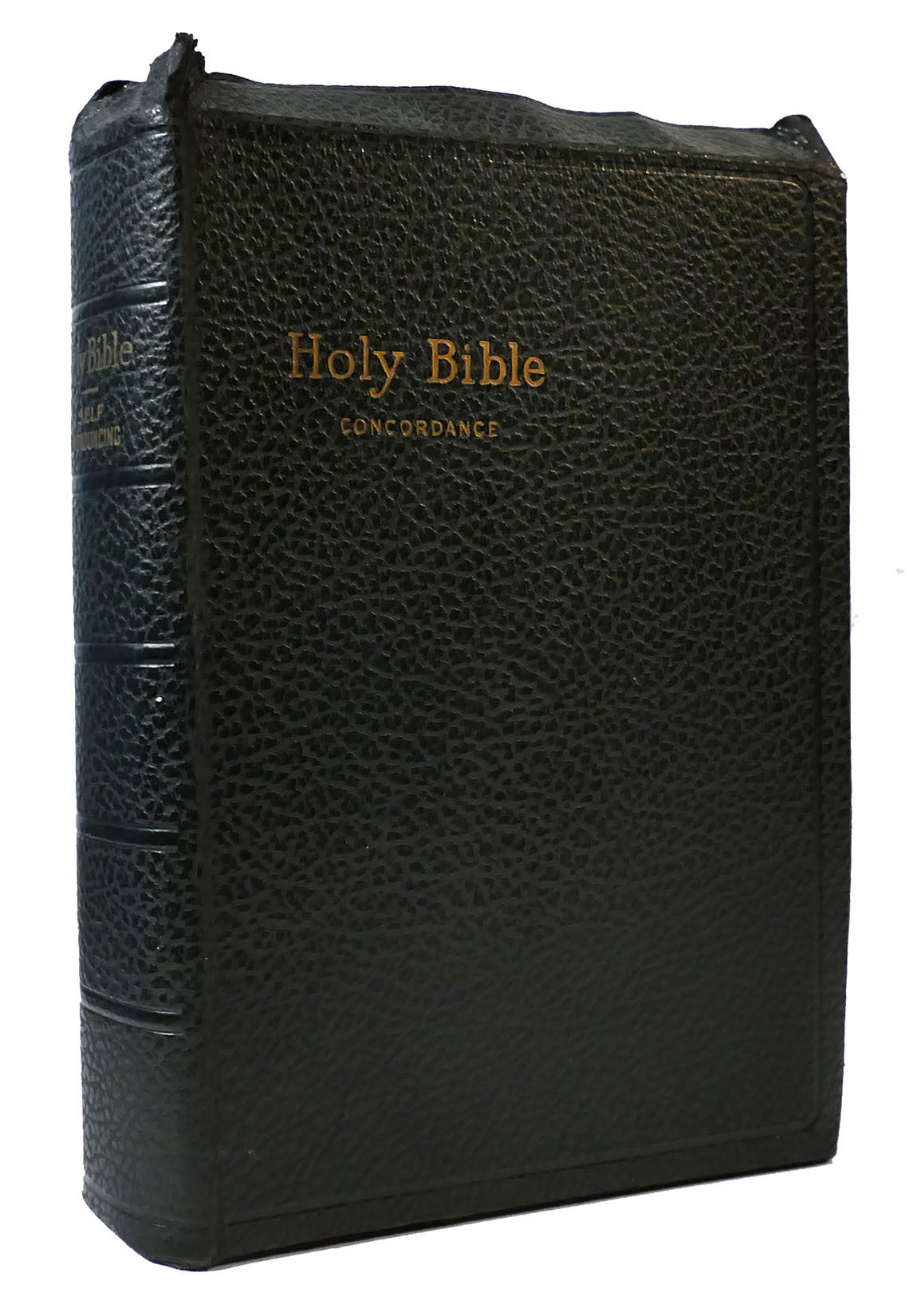 THE HOLY BIBLE CONTAINING OLD AND NEW TESTAMENTS | King James Version ...