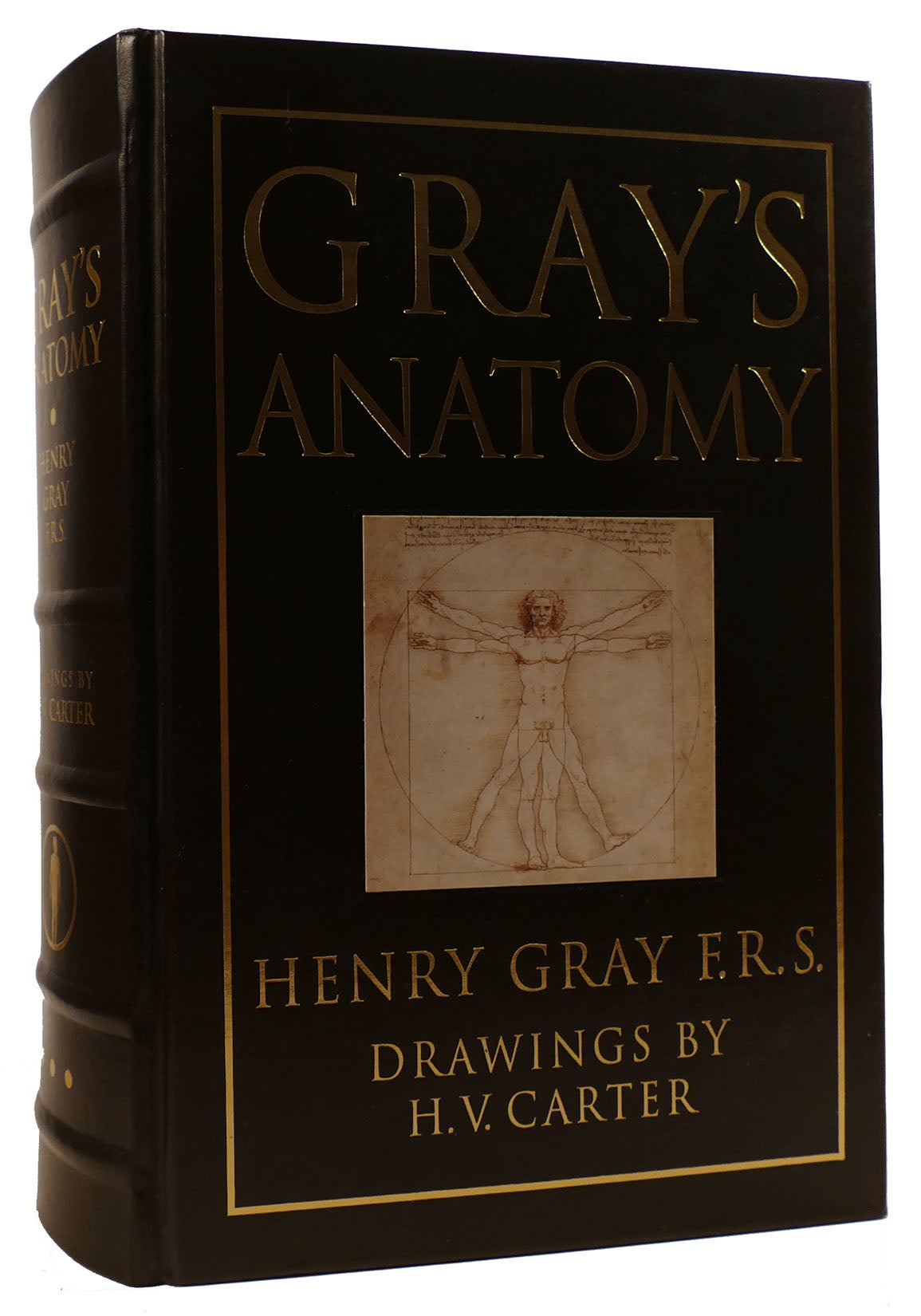 GRAY'S ANATOMY | Henry Gray | Fifteenth Edition; Second Printing