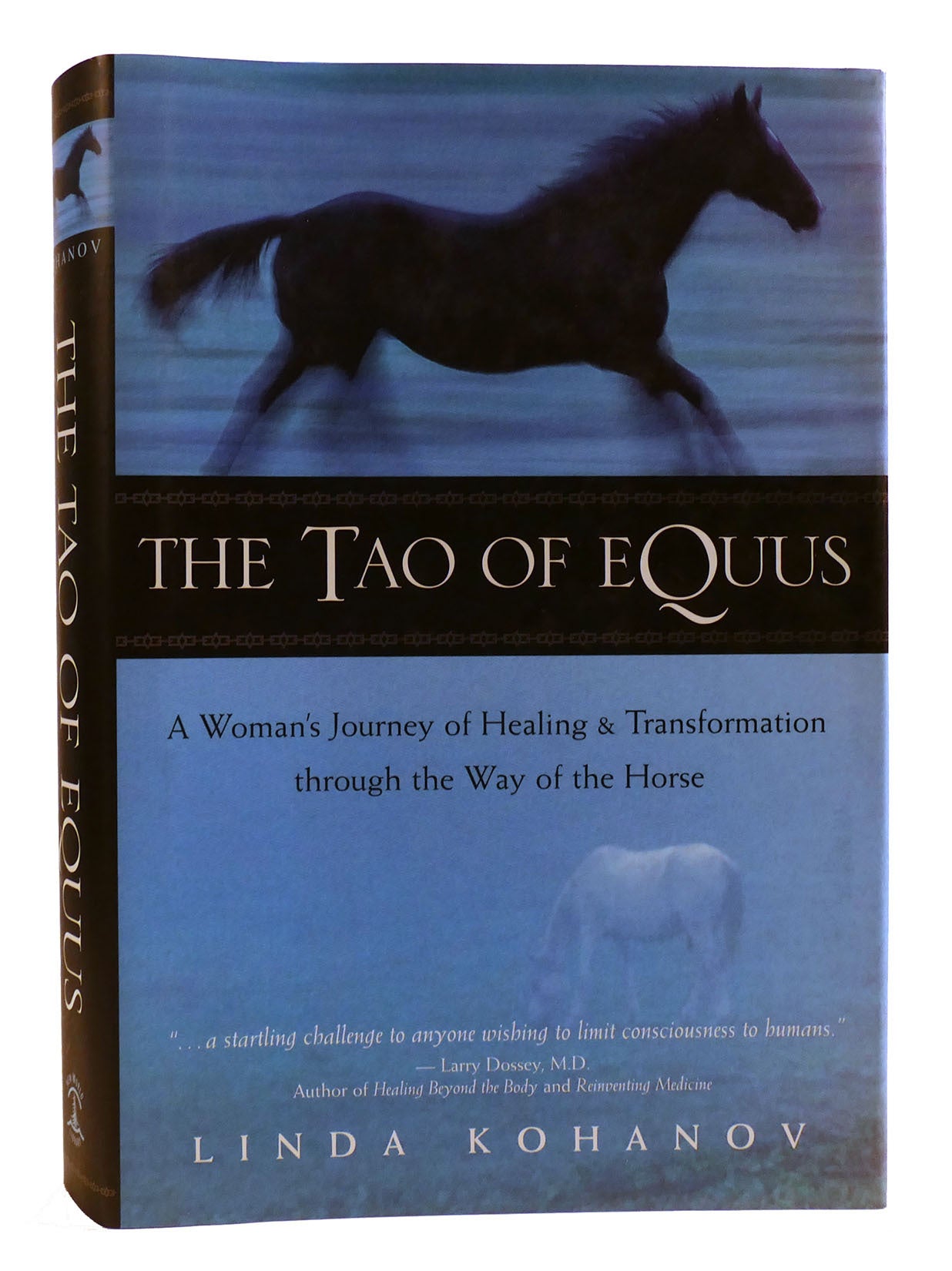 THE TAO OF EQUUS; A Woman's Journey of Healing and Transformation