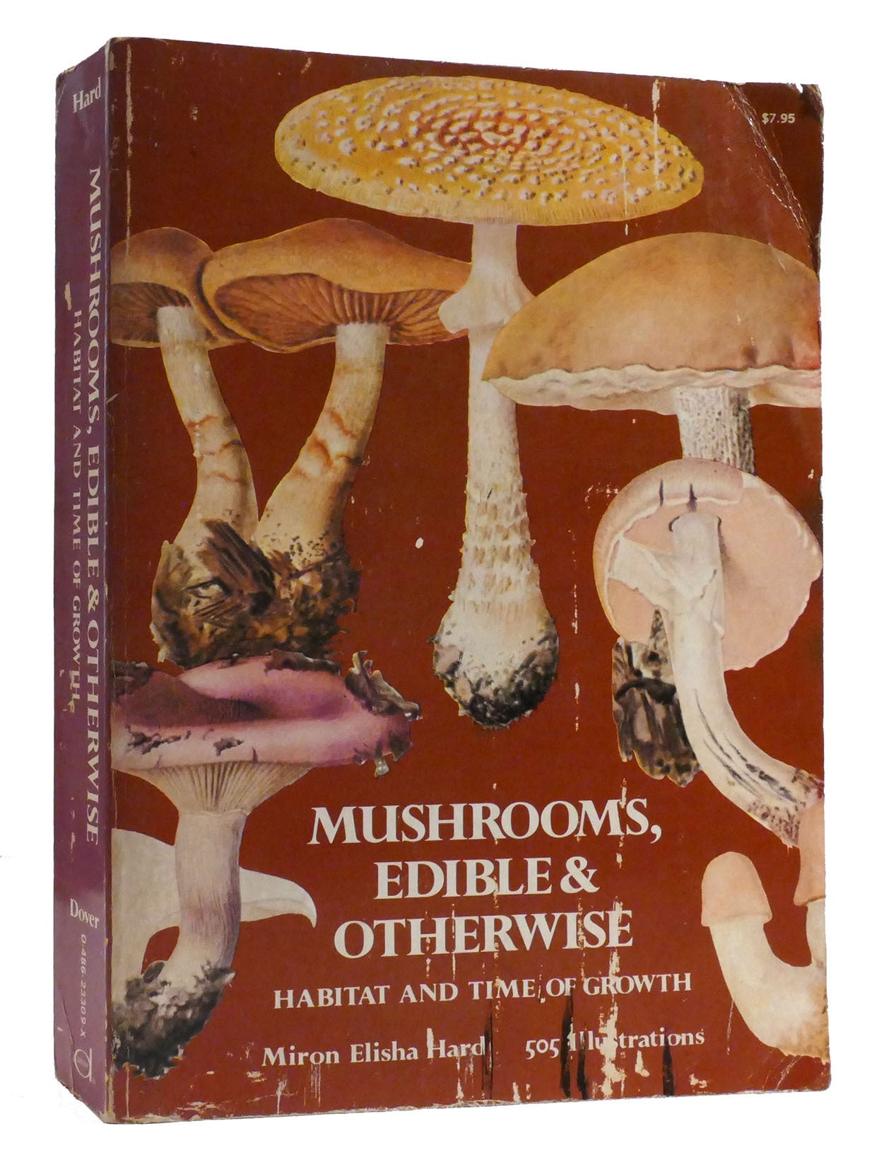 MUSHROOMS, EDIBLE AND OTHERWISE; Habitat and Time of Growth