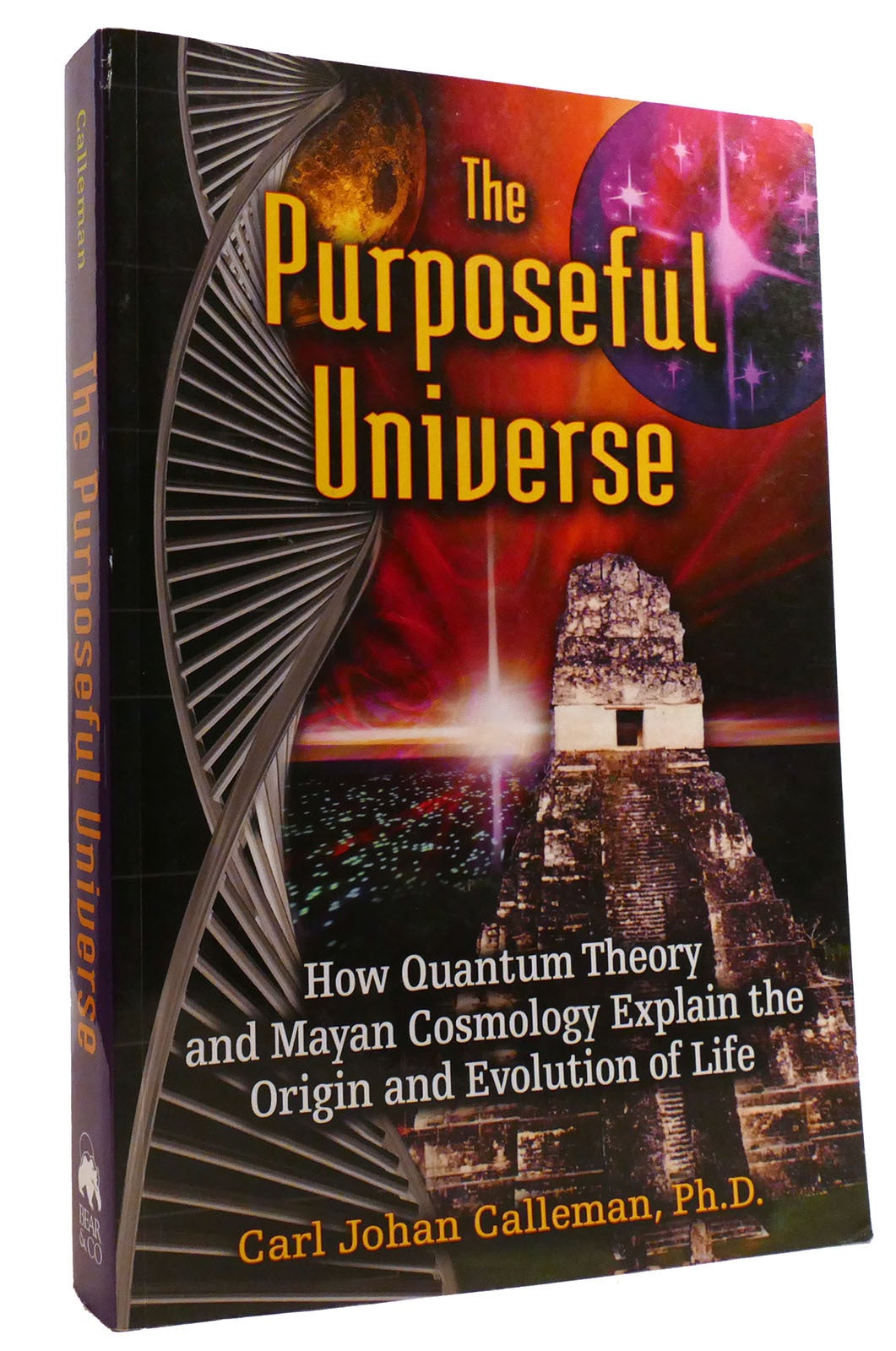 THE PURPOSEFUL UNIVERSE How Quantum Theory and Mayan Cosmology Explain ...