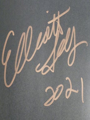 WOODSTOCK VISION; The Spirit of a Generation: Celebrating the 40th Anniversary of the Woodstock Festival Signed