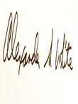 DAUNTLESS MARINE; Joseph Sailer Jr. , Dive-Bombing Ace of Guadalcanal Signed