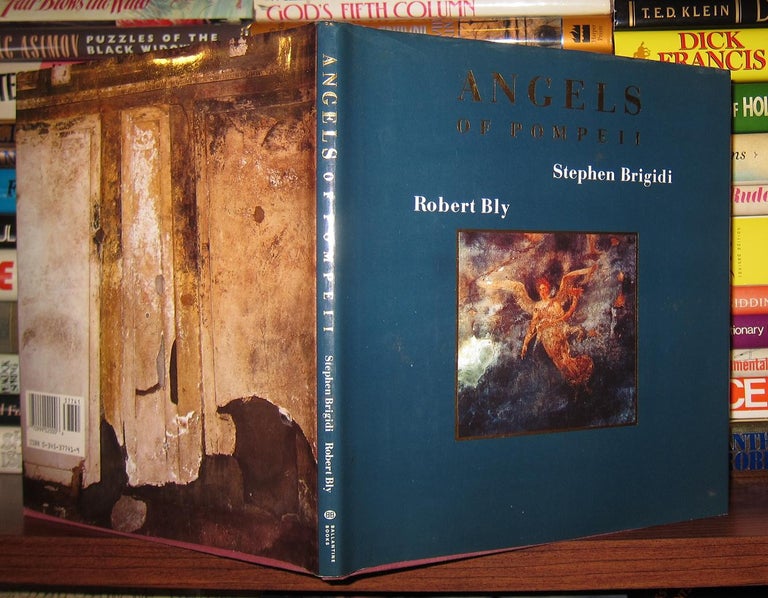 Item #43199 ANGELS OF POMPEII. Robert Bly, Stephen Brigidi.