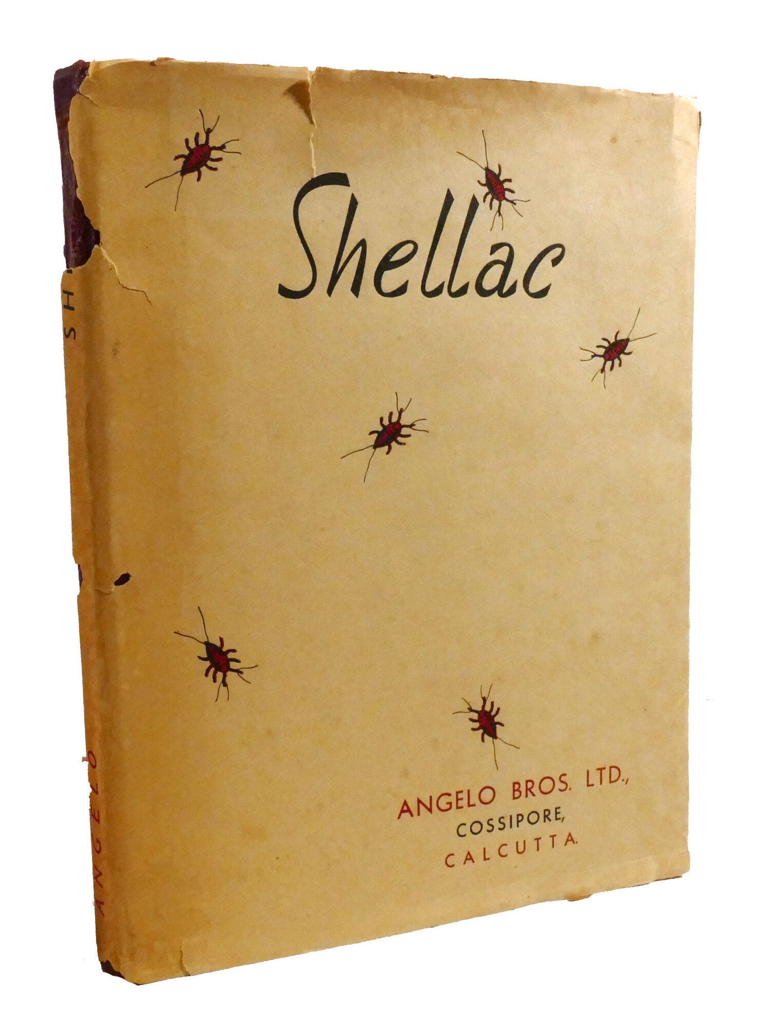 Angelo Shellaci SHELLAC | Angelo Bros | First Edition; First Printing