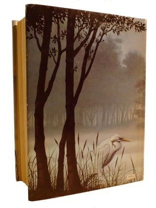THE MISTS OF AVALON